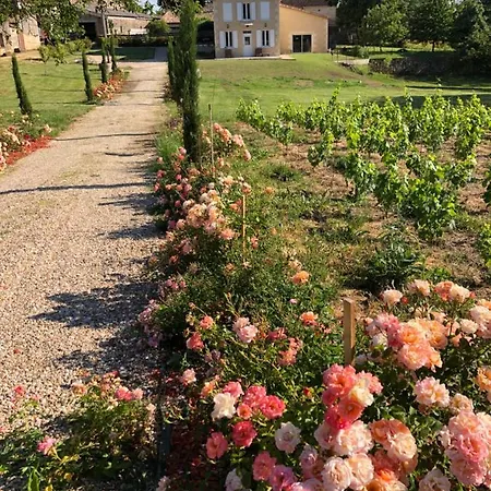 Allee Des Roses Saint-Philippe-dʼAiguille Buitenkant foto
